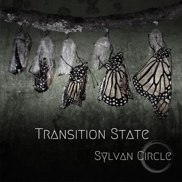 Transition State by Sylvan Circle - album cover