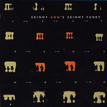 Skinny Ann's Skinny Funky by Ann - album cover