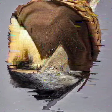 SEHNnSTehn