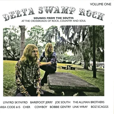 Delta Swamp Rock – Sounds from the South: At the Crossroads of Rock, Country and Soul by Various Artists - album cover