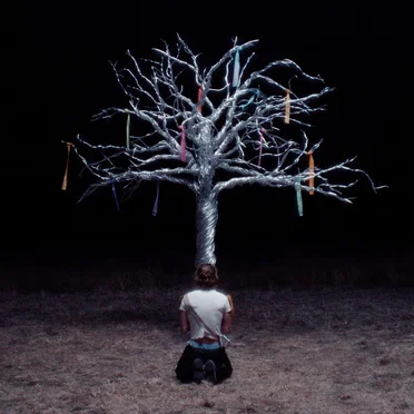Album II: The Land Of The Twisted Tree