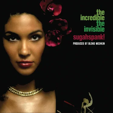 The Incredible / The Invisible by Sugahspank! - album cover