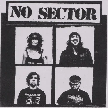 No Sector / Peracetic