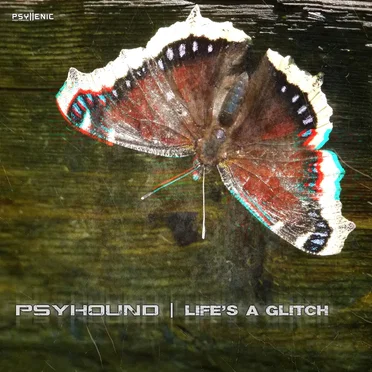 Life's a Glitch