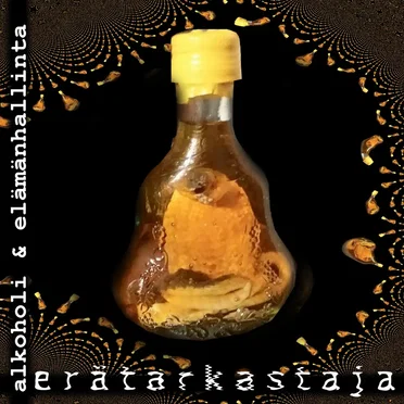 Alkoholi & elämänhallinta