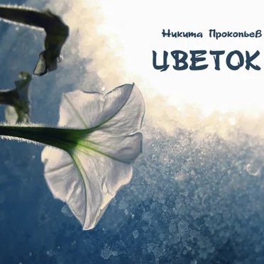 Цветок by Никита Прокопьев - album cover