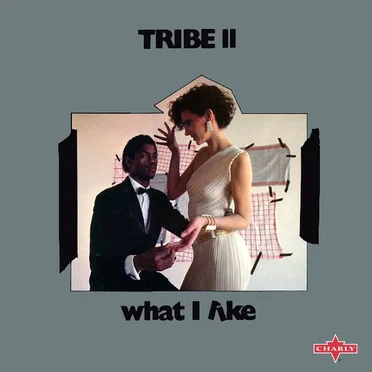 What I Like by Tribe 2 - album cover