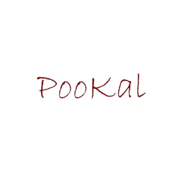S/T II by PooKal - album cover