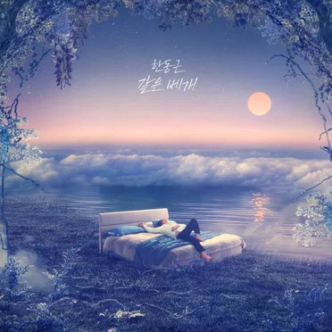 같은 베개