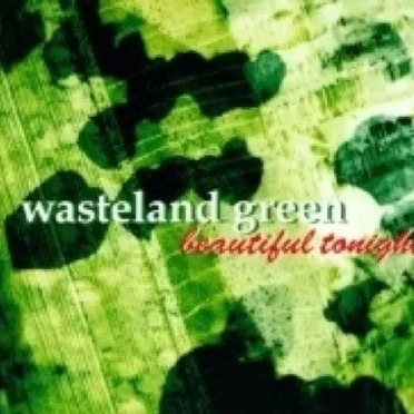 Beautiful Tonight by Wasteland Green - album cover