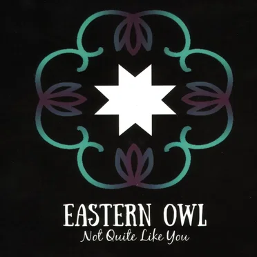 Not Quite Like You by Eastern Owl - album cover