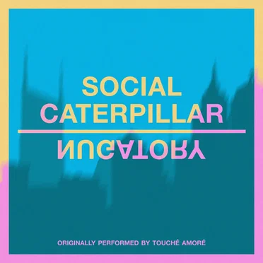Social Caterpillar