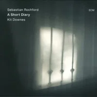 Sebastian Rochford artist image