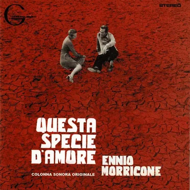 Questa specie d'amore