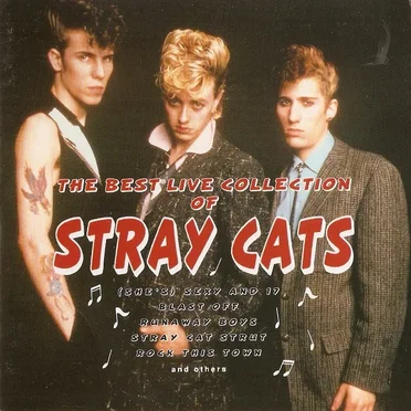 The Best Live Collection of Stray Cats
