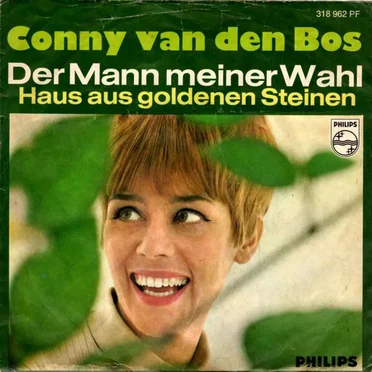 Der Mann meiner Wahl / Haus aus goldnen Steinen