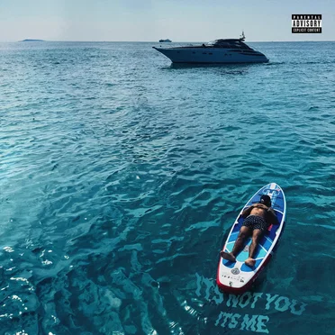 IT'S NOT YOU IT'S ME