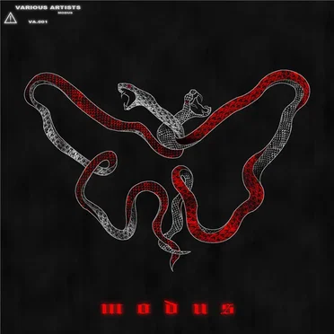 Modus VA.001 by Various Artists - album cover