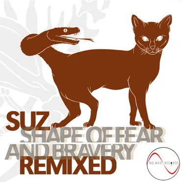 Shape of Fear and Bravery Remixed