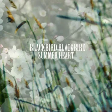 Summer Heart