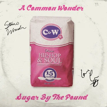 A Common Wonder: Sugar by the Pound by Amerigo Gazaway - album cover