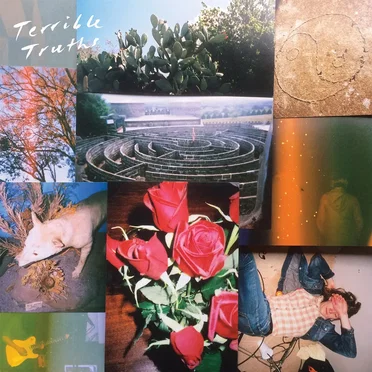 Terrible Truths by Terrible Truths - album cover