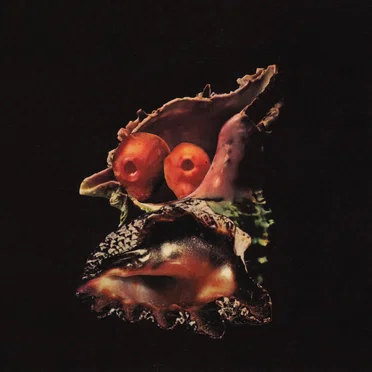 There is a Hole by Pepper Johnson - album cover
