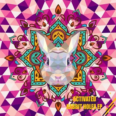 Rabbit Holes by Activated - album cover