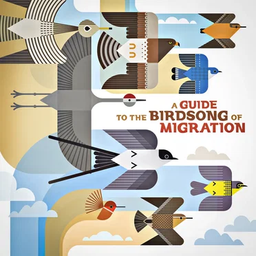A Guide to the Birdsong of Migration by Various Artists - album cover