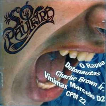 Só Pauleira by Various Artists - album cover