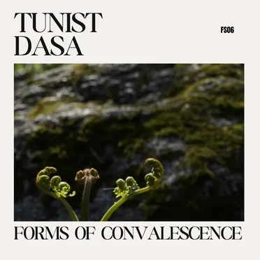 Forms of Convalescence