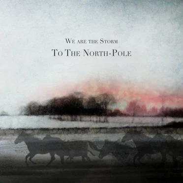 To the North-Pole by We Are The Storm - album cover