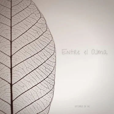 Entre El Alma by Entornos de Paz - album cover