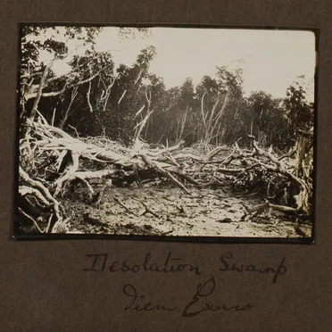 Desolation Swamp