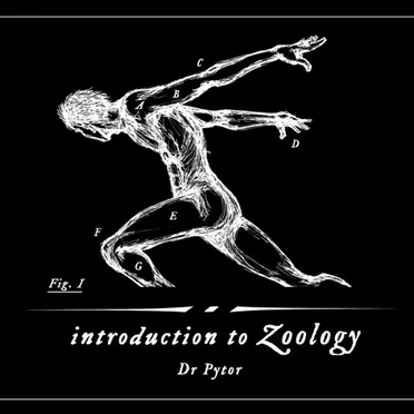 Introduction to Zoology by Dr. Pytor - album cover
