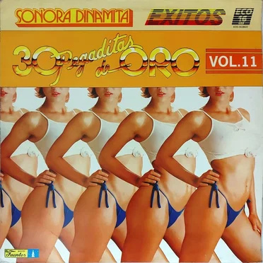 Éxitos: 30 pegaditas de oro, vol. 11