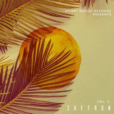 Vol. 5: Saffron by Various Artists - album cover