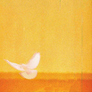 Anything Can Happen (live)