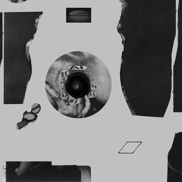 Withdrawn by Fashion Flesh - album cover