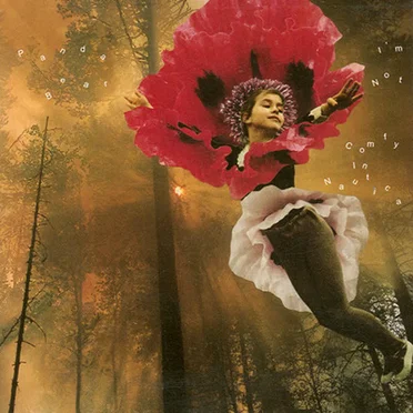 I'm Not / Comfy in Nautica