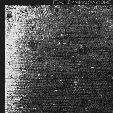 Home by Fragile Animals - album cover