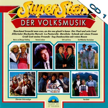Superstars der Volksmusik by Various Artists - album cover
