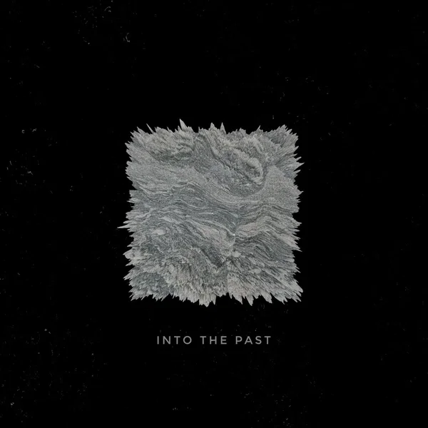 Into the Past