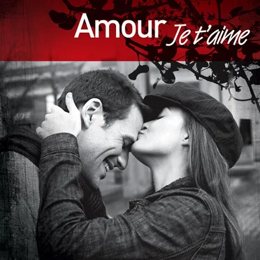 Amour je t'aime : Les Plus Belles Déclarations d'amour en chanson by Various Artists - album cover