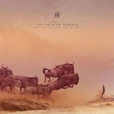 Northallsen V Years - The Path of Nomads by Various Artists - album cover