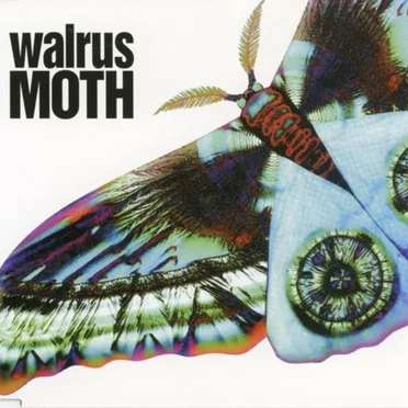 MOTH
