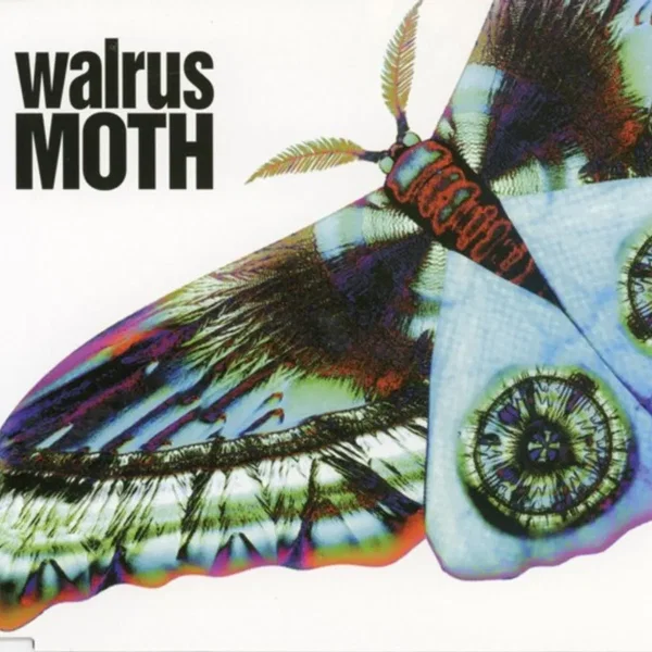 MOTH
