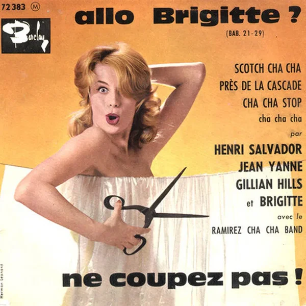 Allo Brigitte ? Ne coupez pas !