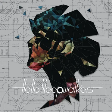 Planless Perfection by Hello Sleepwalkers - album cover
