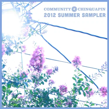 Community & Chinquapin 2012 Summer Sampler by Various Artists - album cover